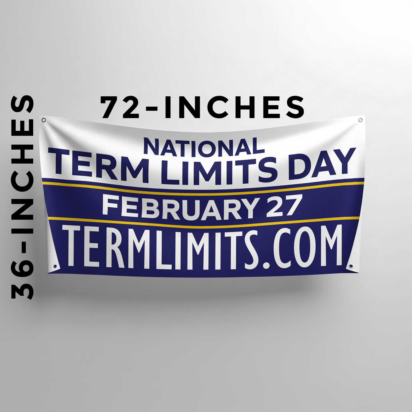 US Term Limits Banner | 3x6 | Term Limits Day