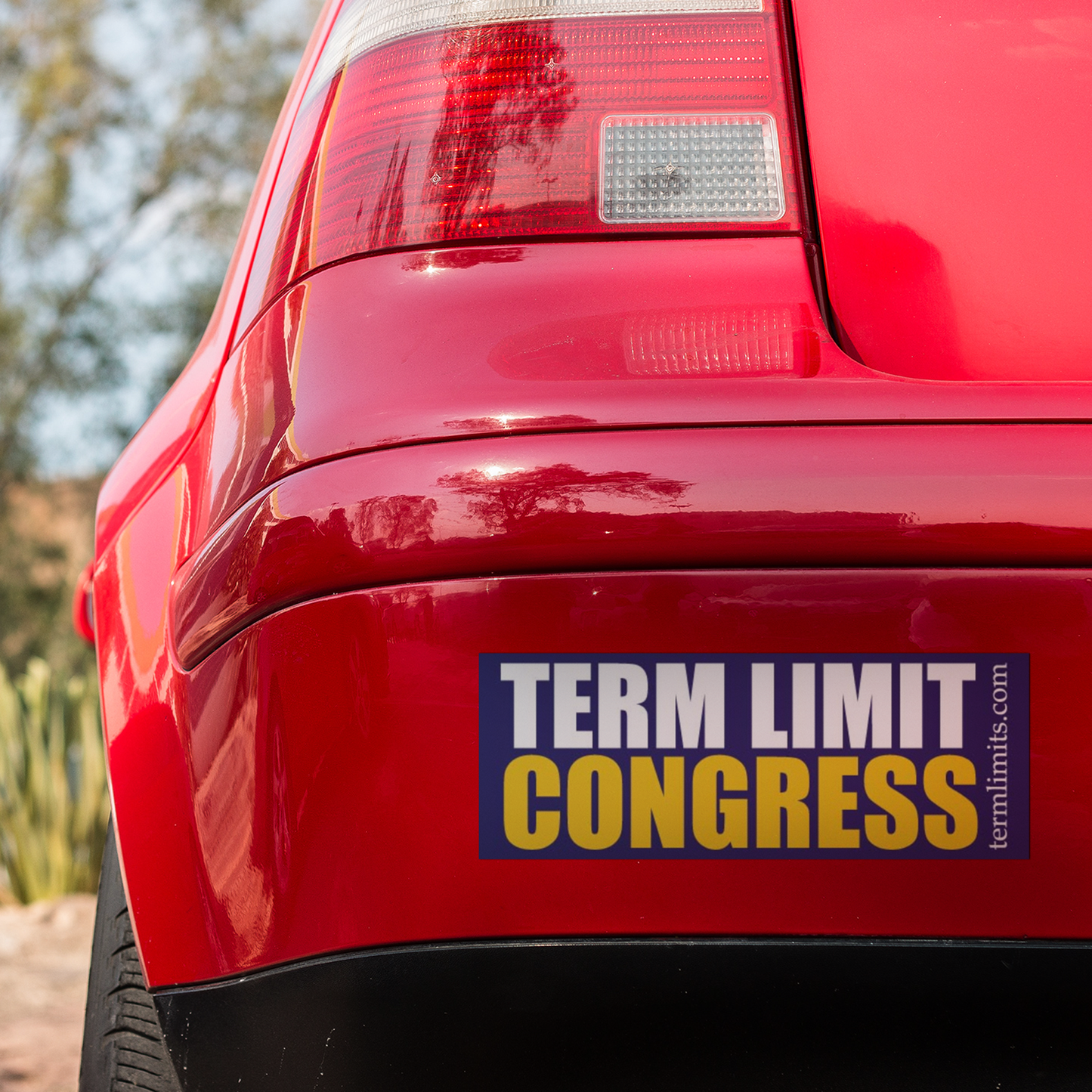 US Term Limits Bumper Sticker or Bumper Magnet | Set of 2 |  3x9 Inches