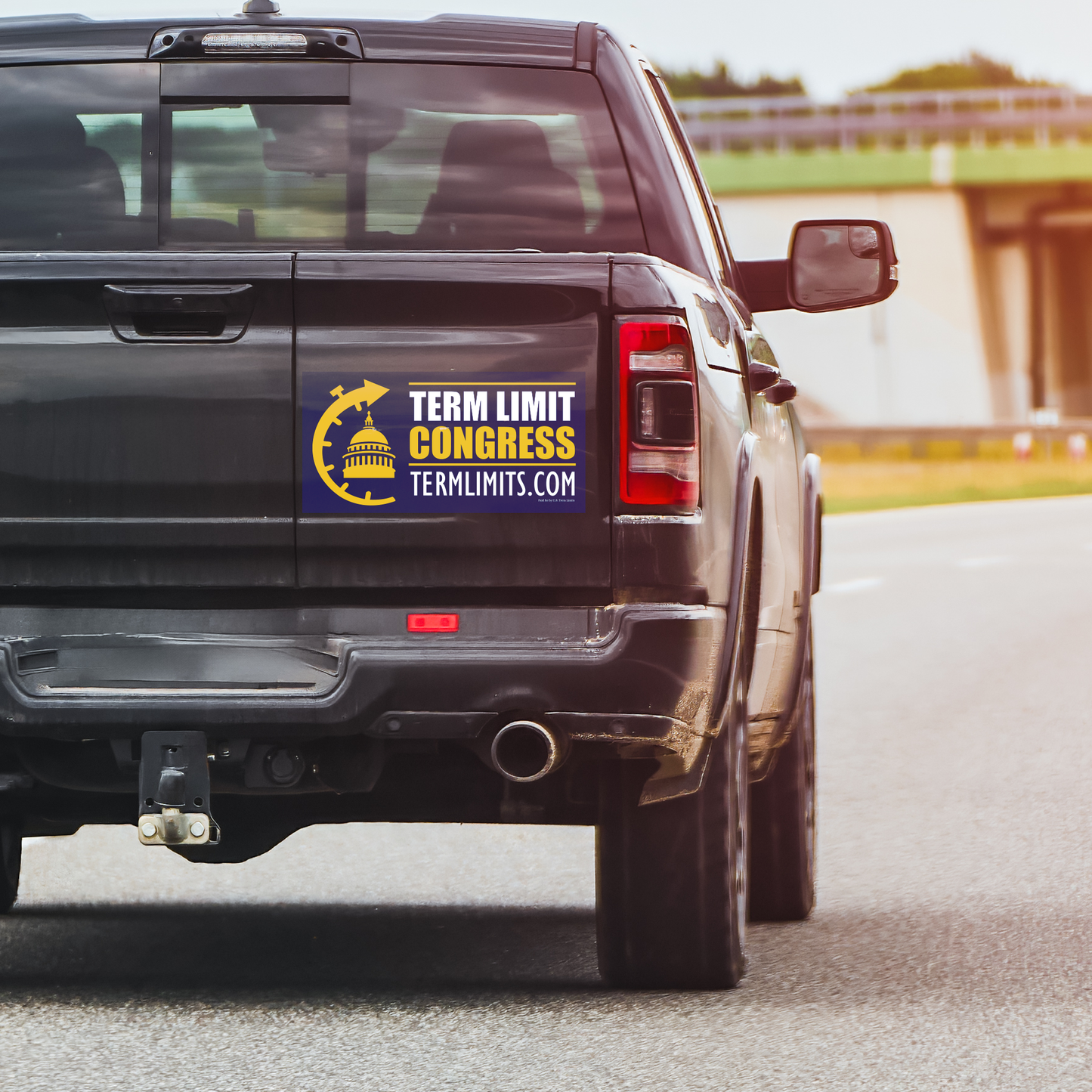 US Term Limits Car Magnet 9x18-Inches