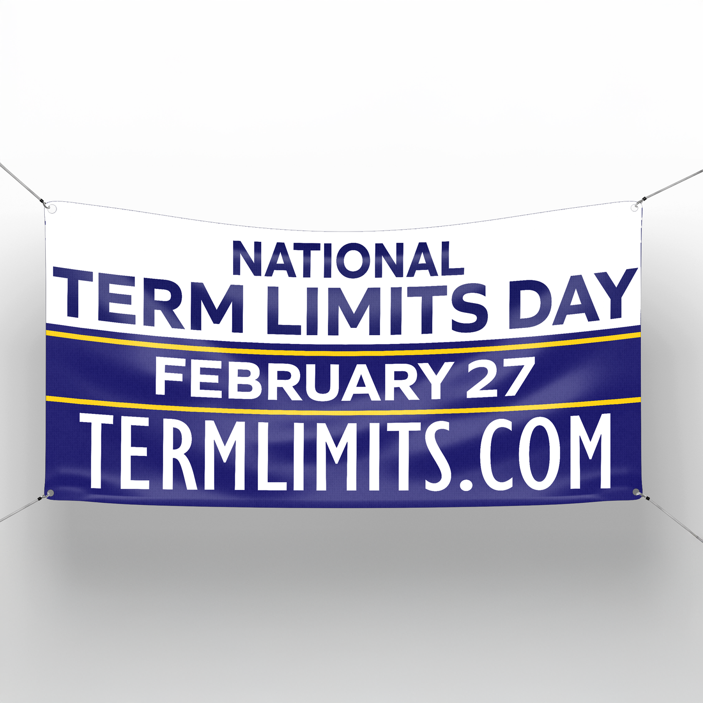 US Term Limits Banner | 3x6 | Term Limits Day