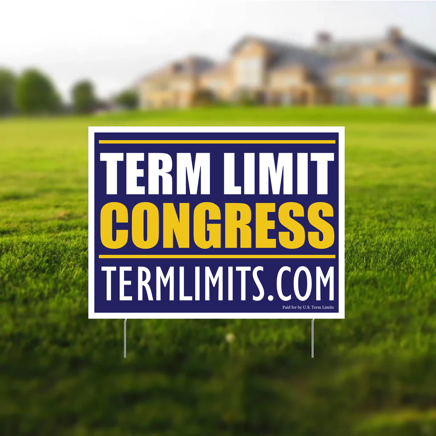 US Term Limits Yard Sign and Banner Bundle | Two 18"x24" Yard Signs with Stakes | One 3'x6' Banner