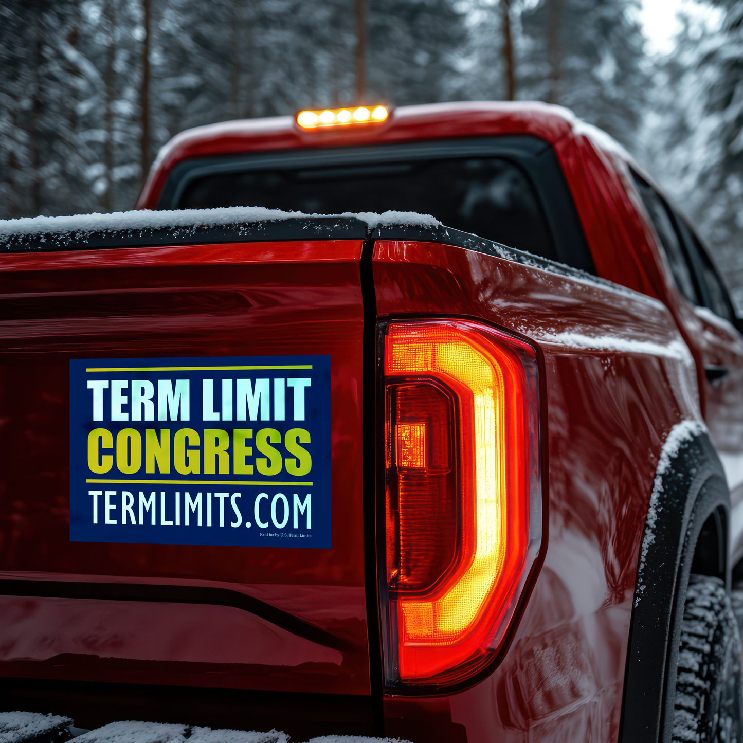 US Term Limit Congress Car Door Magnet 9x13-Inches