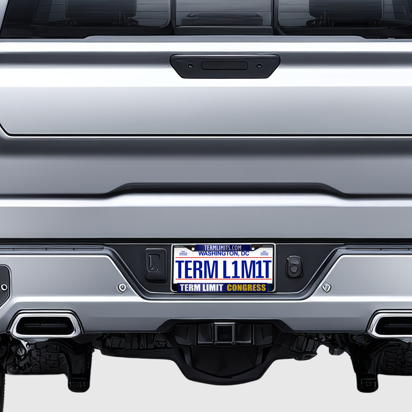US Term Limits License Plate Frame | 6x12-Inches