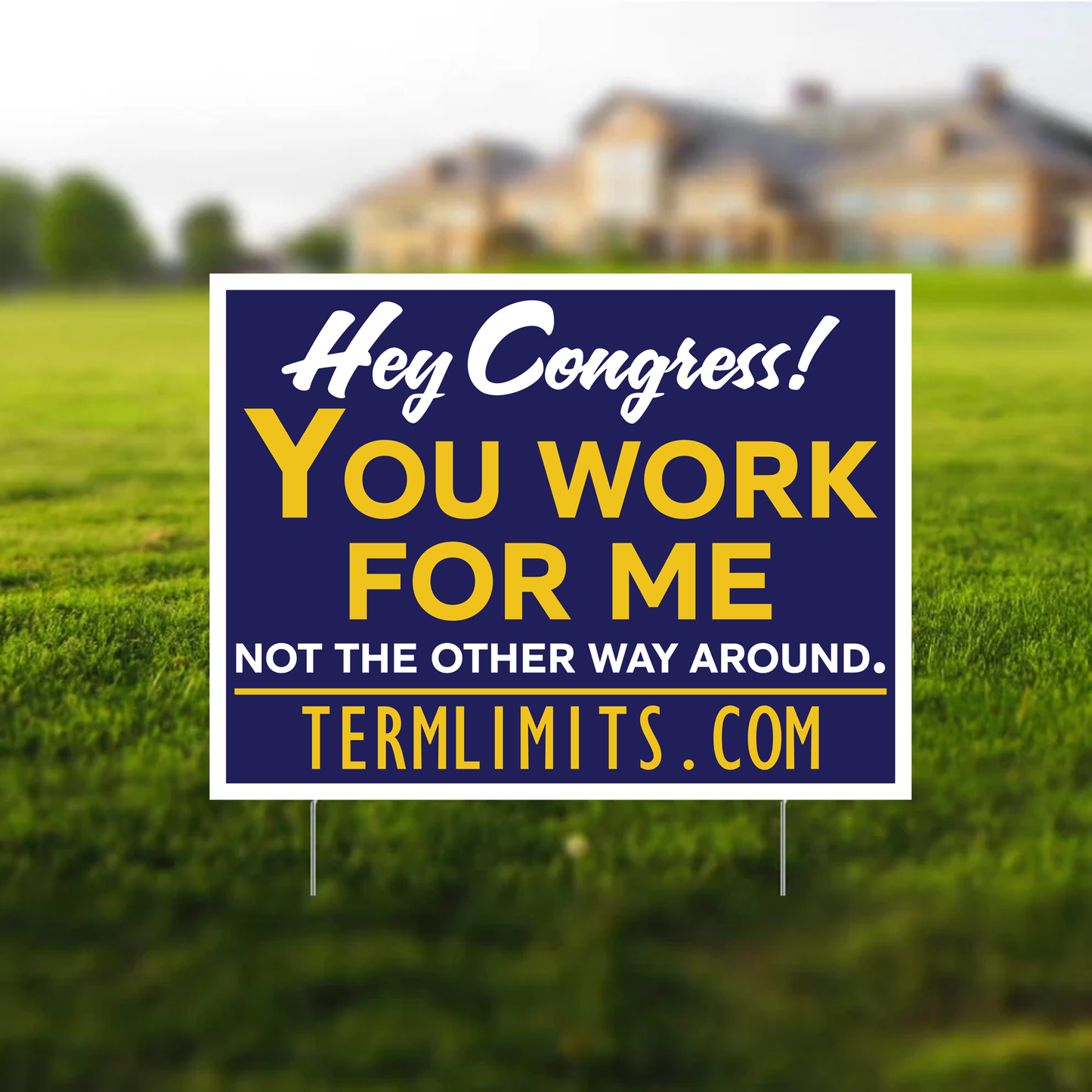 US Term Limits Yard Sign with Stakes | 18x24-Inches | Hey Congress