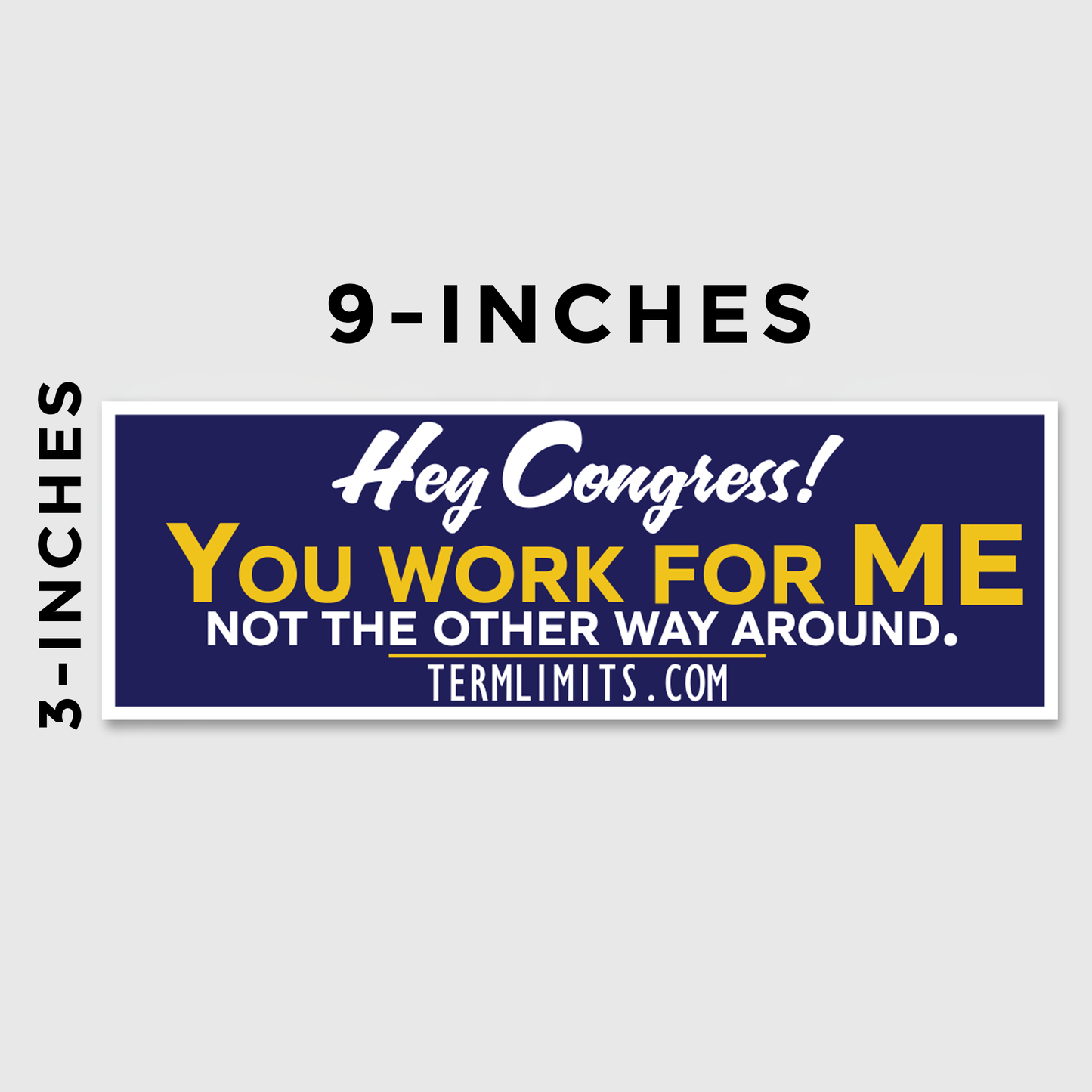 US Term Limits Bumper Sticker or Bumper Magnet | Set of 2 |  3x9 Inches | Hey Congress